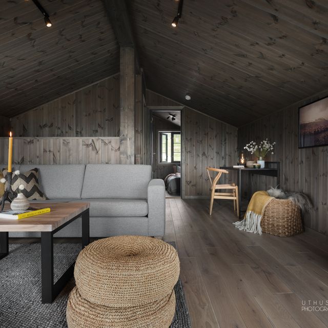 Living room furniture
