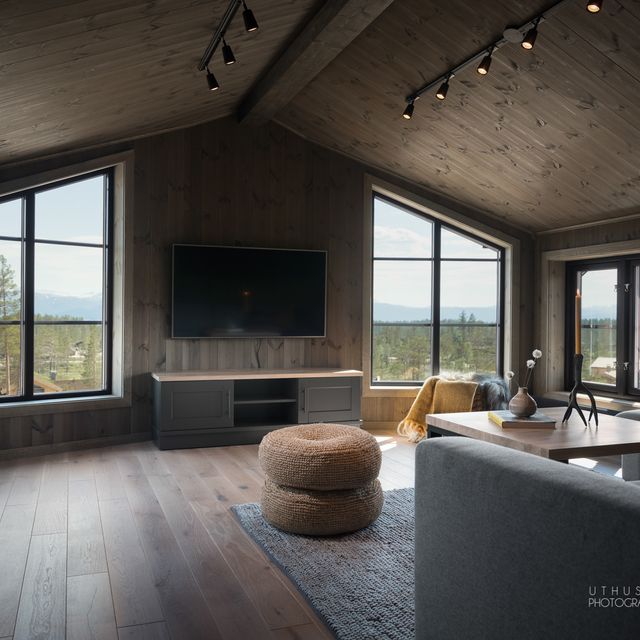Living room furniture