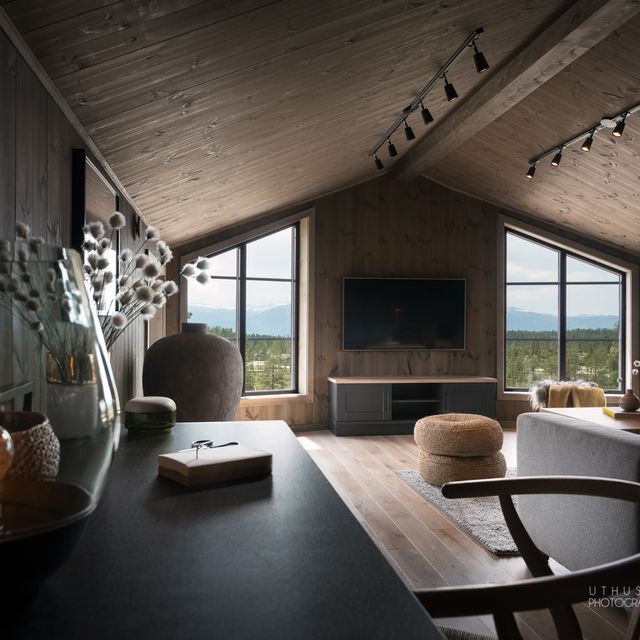 Living room furniture